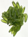 50 5x16mm Matte Transparent Olive Dagger Beads